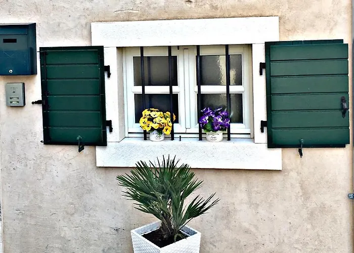 Casa de hóspedes Daky